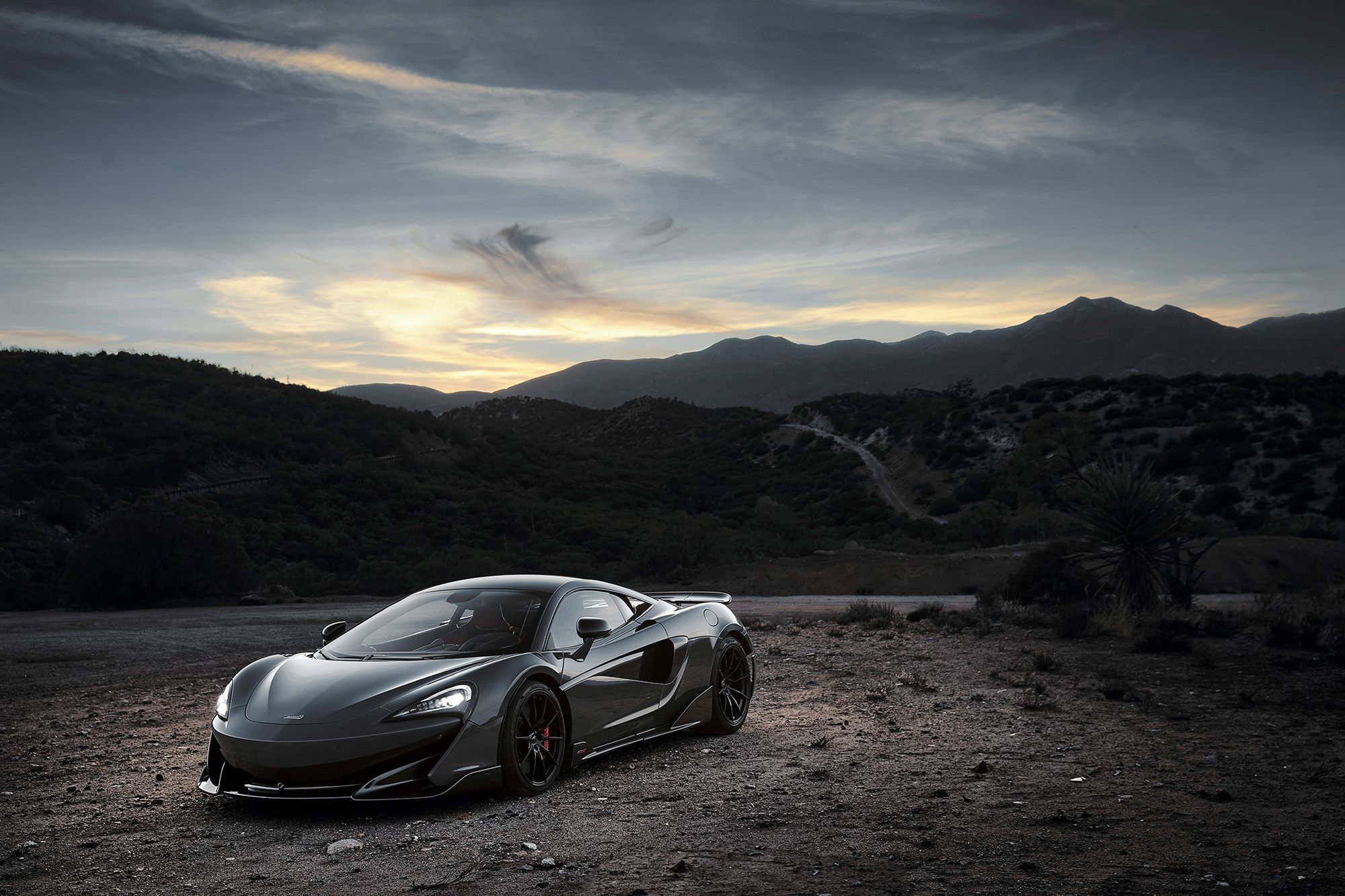 McLaren 600LT model guide