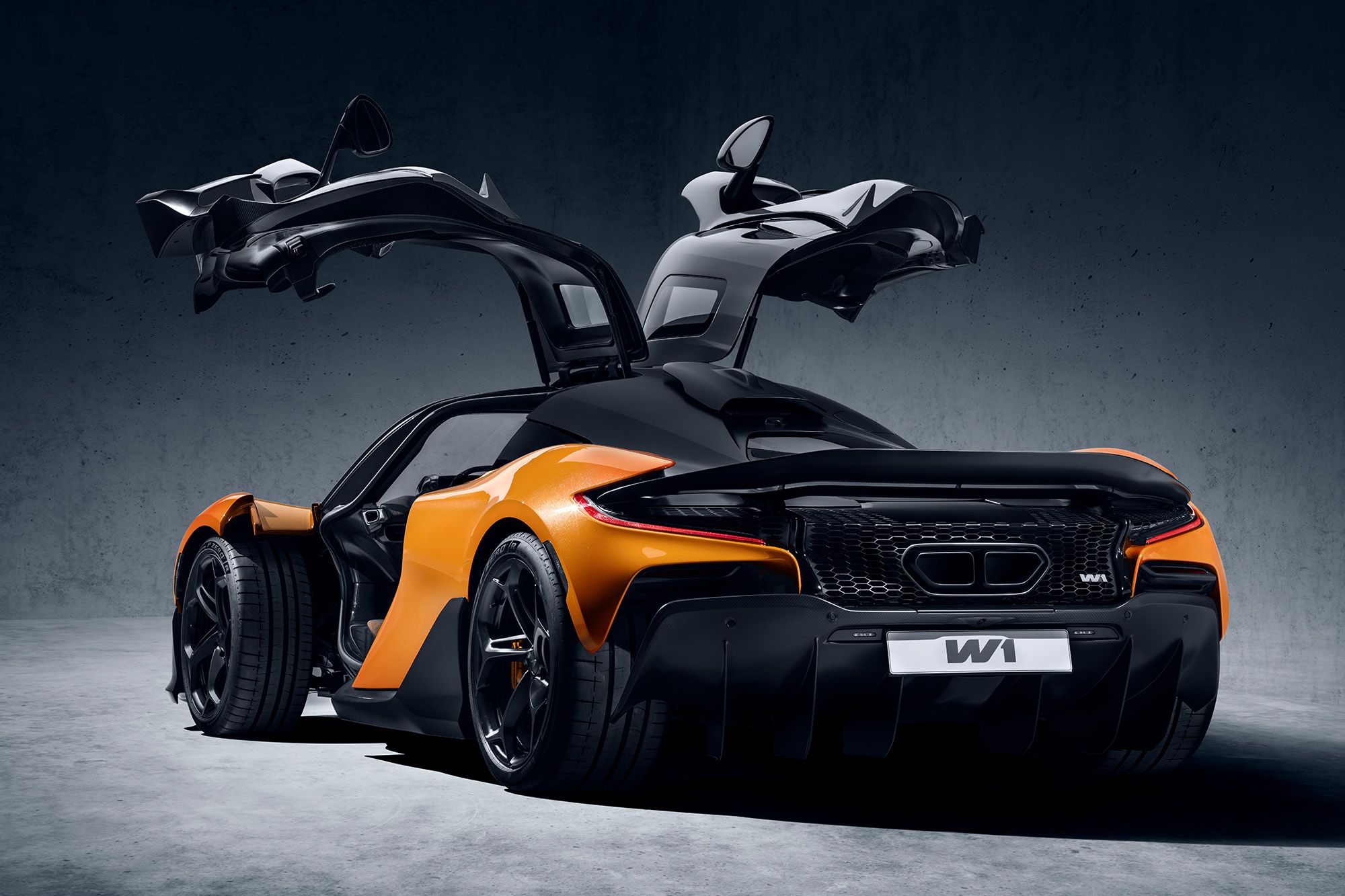 McLaren W1 model guide